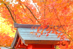 常宮神社オレンジに燃える