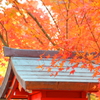 常宮神社オレンジに燃える