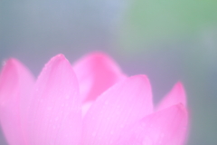 醒めない夢