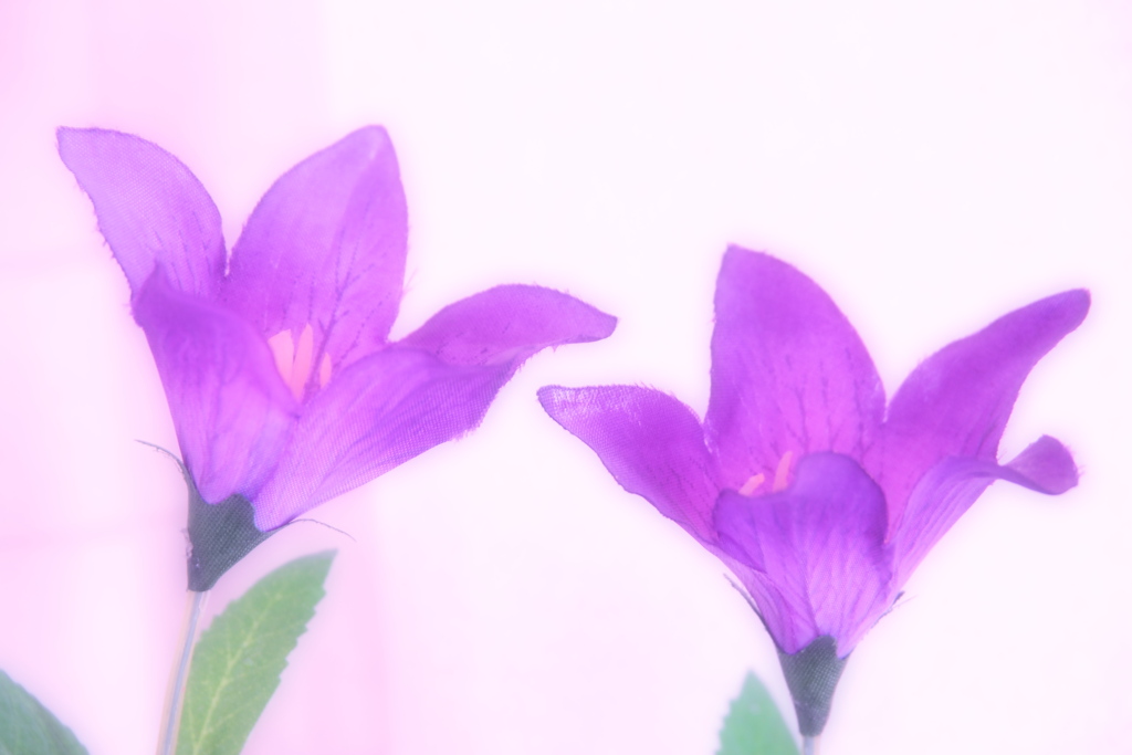 ふたり