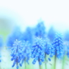 春・さわやか