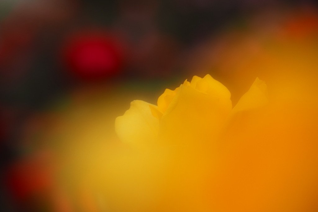 spark yellow