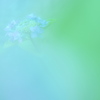 BLUE&GREEN