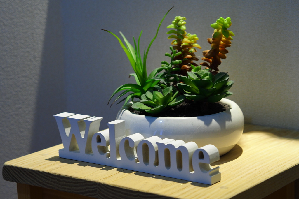 Welcome 2022