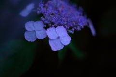 雨よ静かに