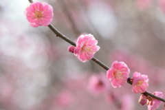 季節の中で