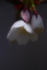 sentimental