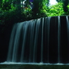 水と緑に癒されて