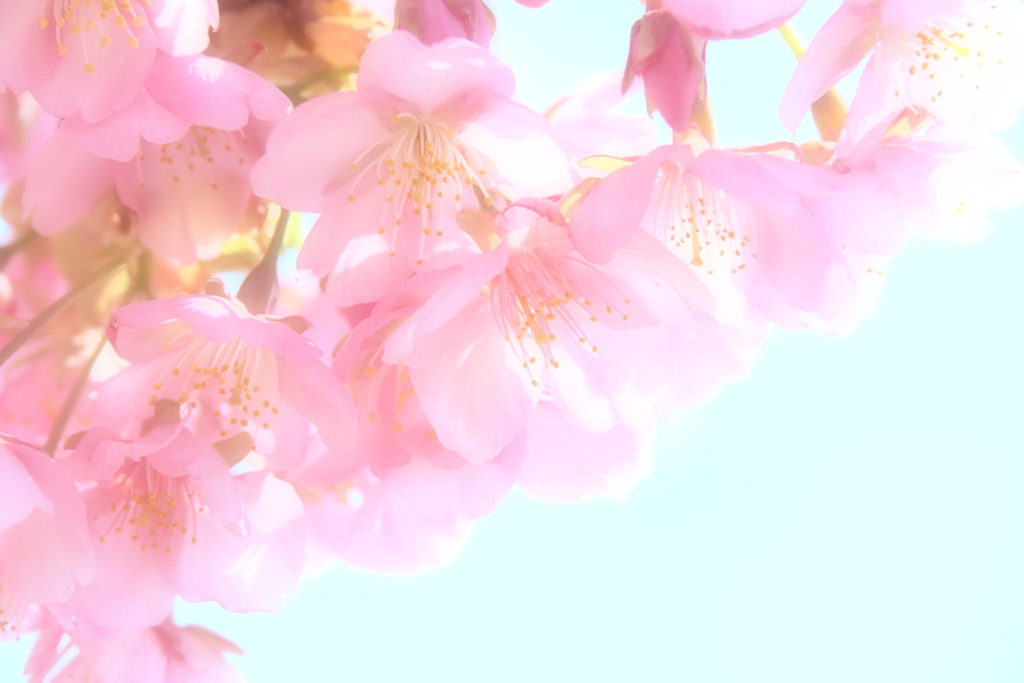 青空に