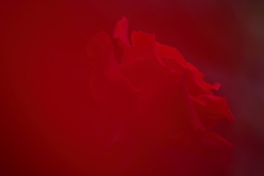 fire storm