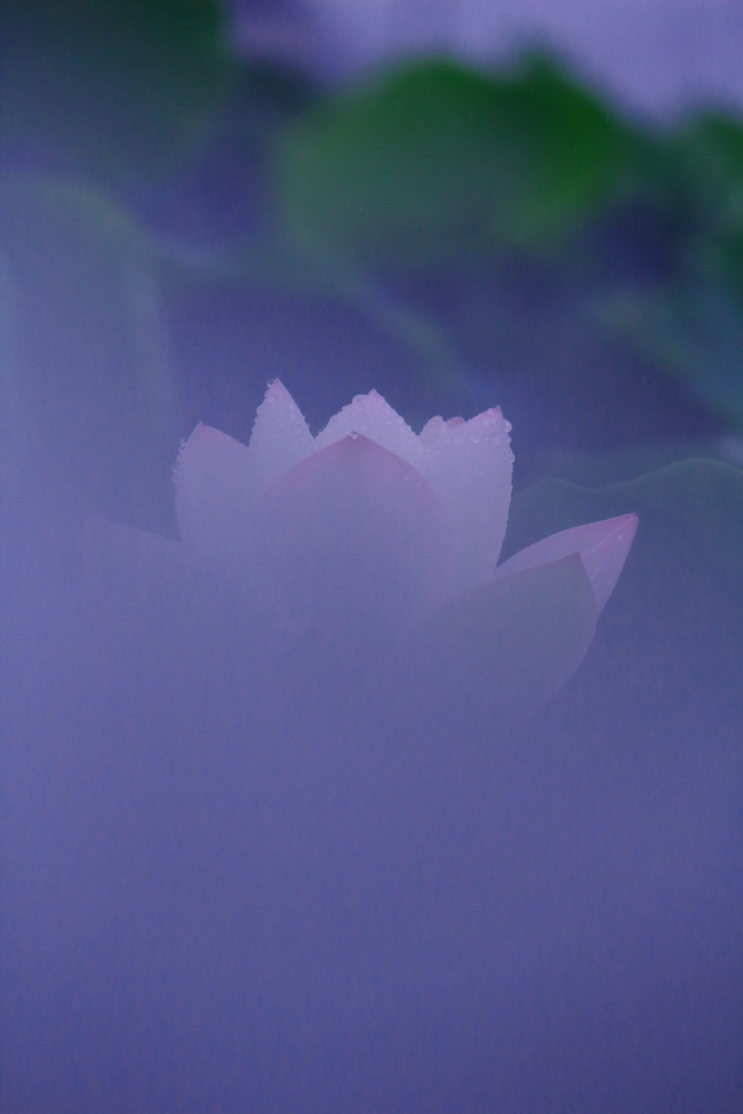 blueな朝