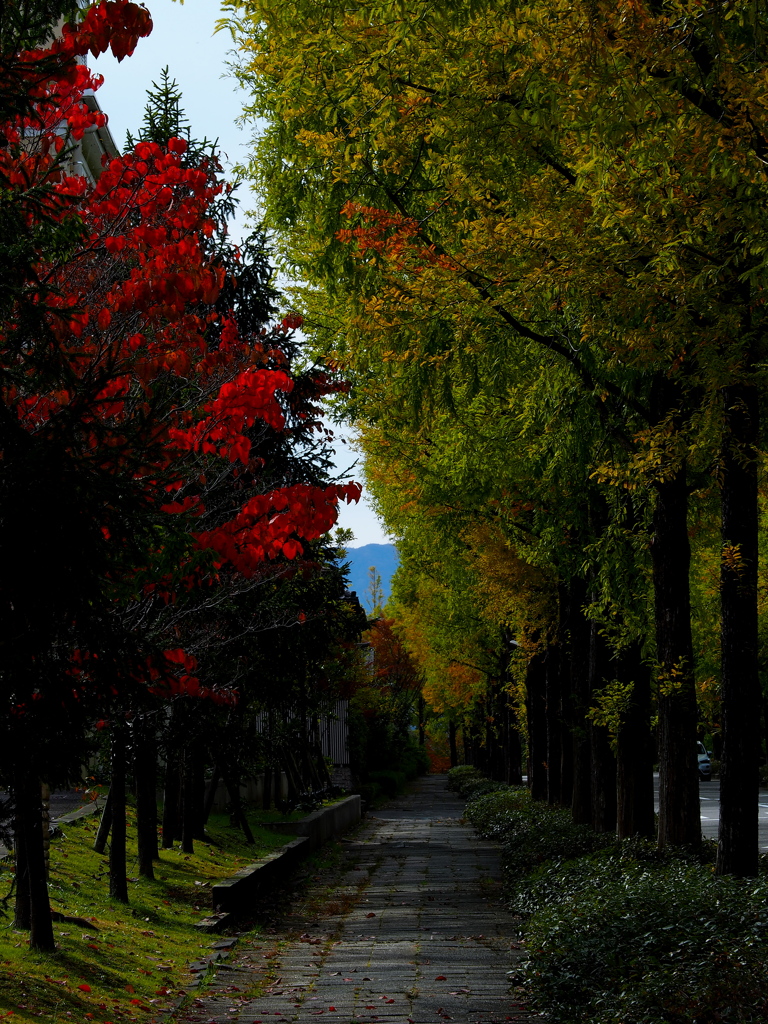 遊歩道