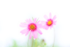 雨の朝