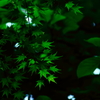 深まりゆく季節