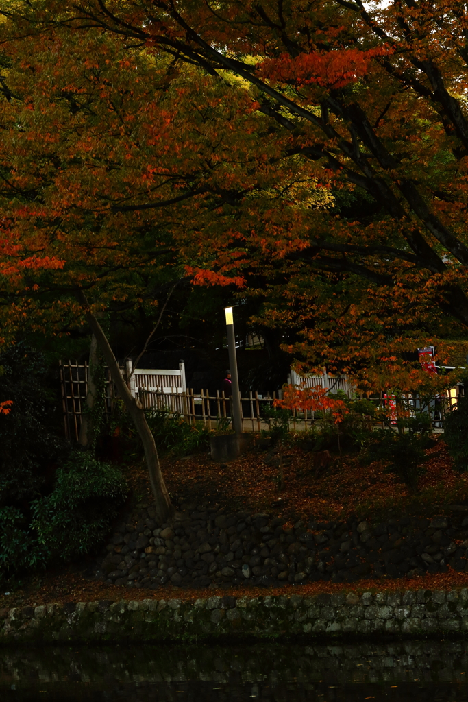 お堀のある風景