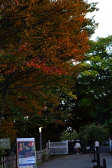 お疲れ様でした。