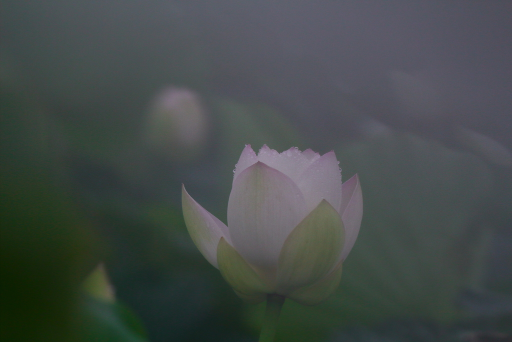 夏の終わりⅠ