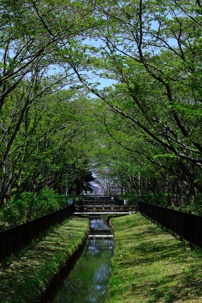 水の流れる場所