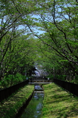 水の流れる場所