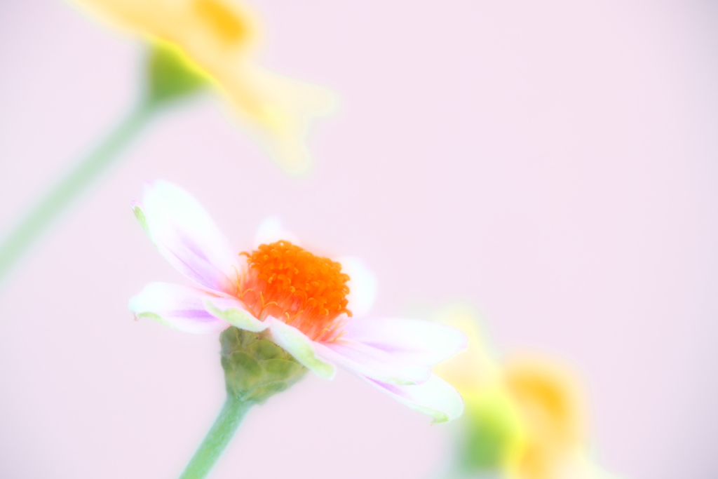 過ぎし日の