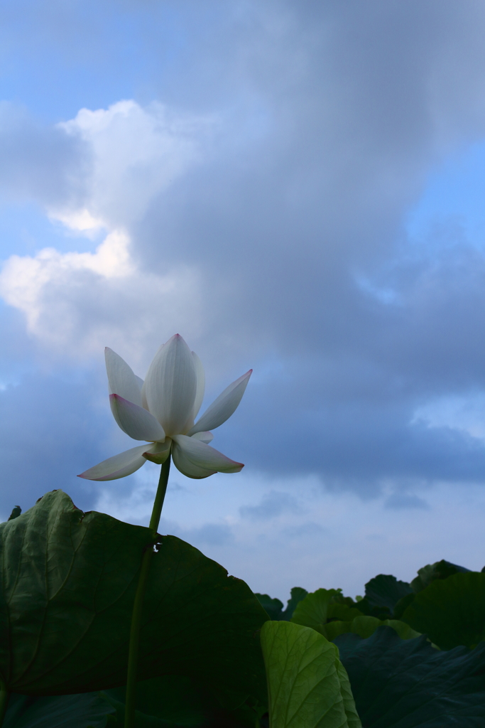 空と雲と