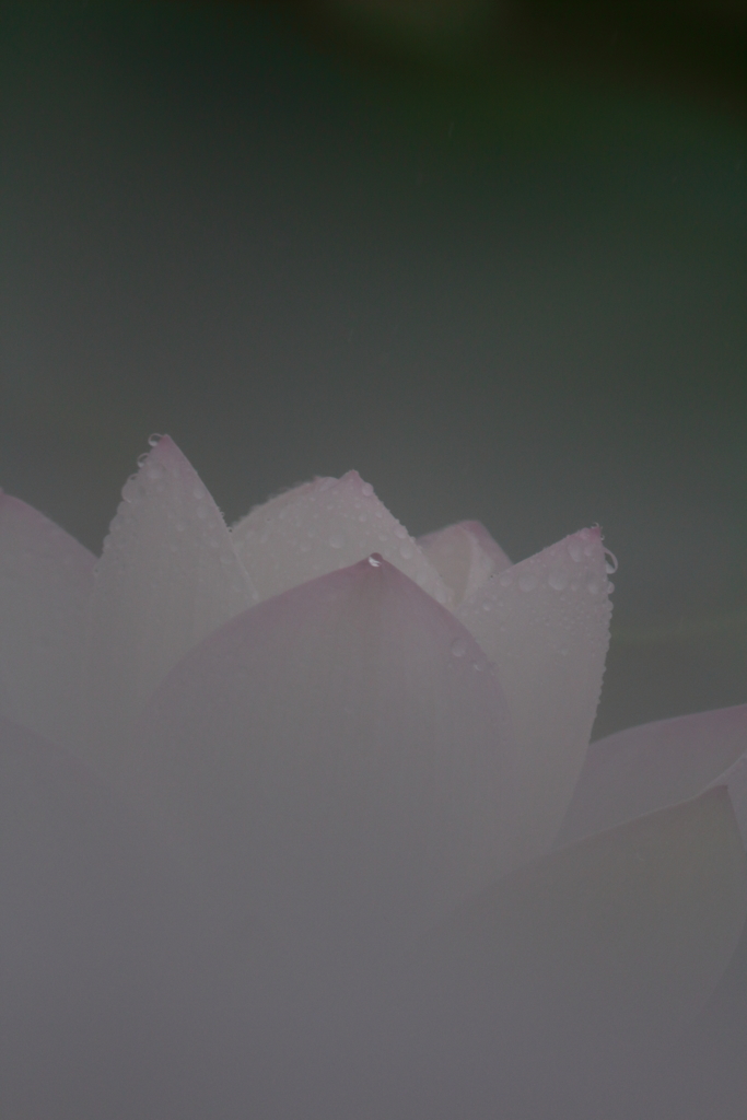 夏の終わりⅣ