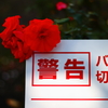 愚か者に告ぐ！
