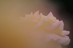 7月