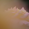 7月