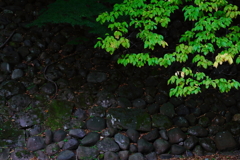 石垣