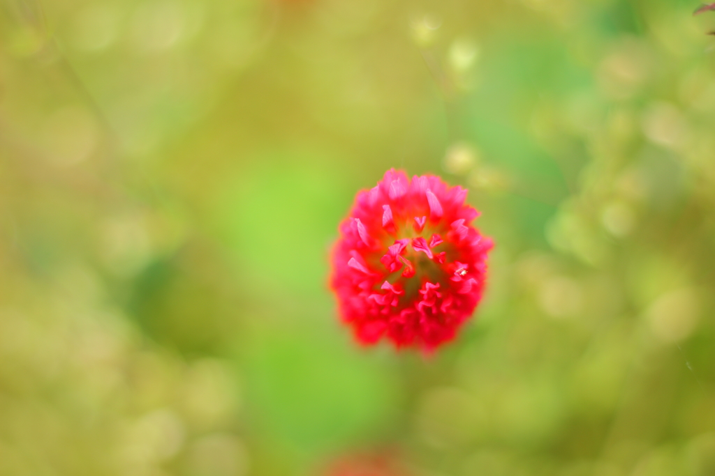 頂点