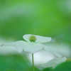 法師