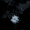 幻想