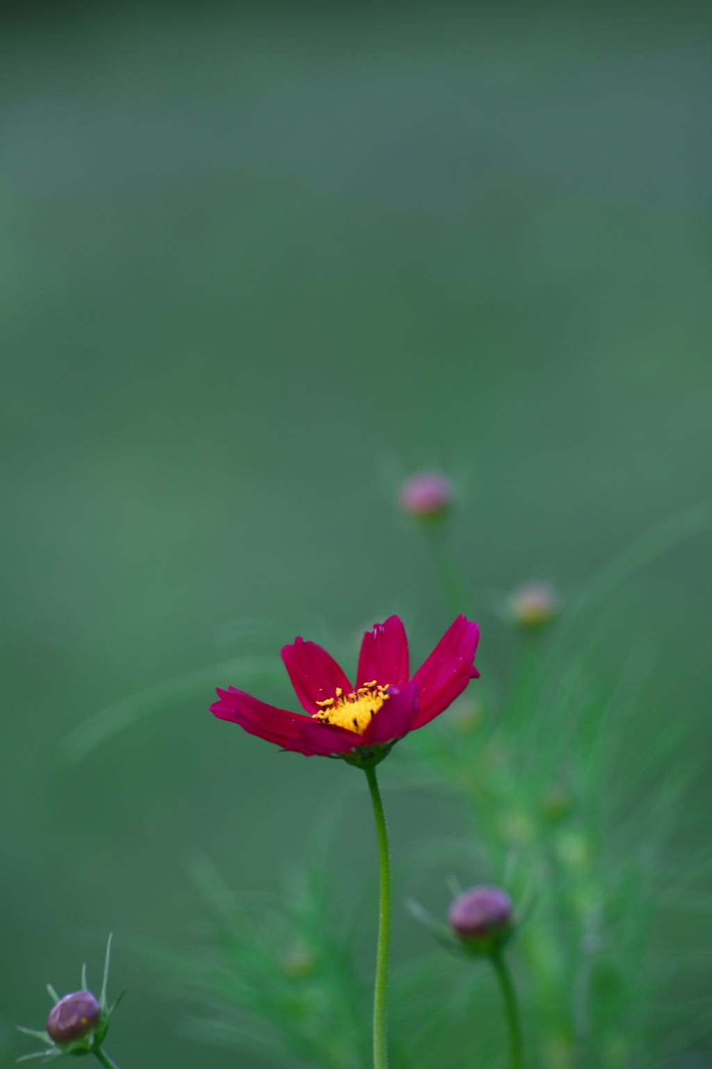 深紅