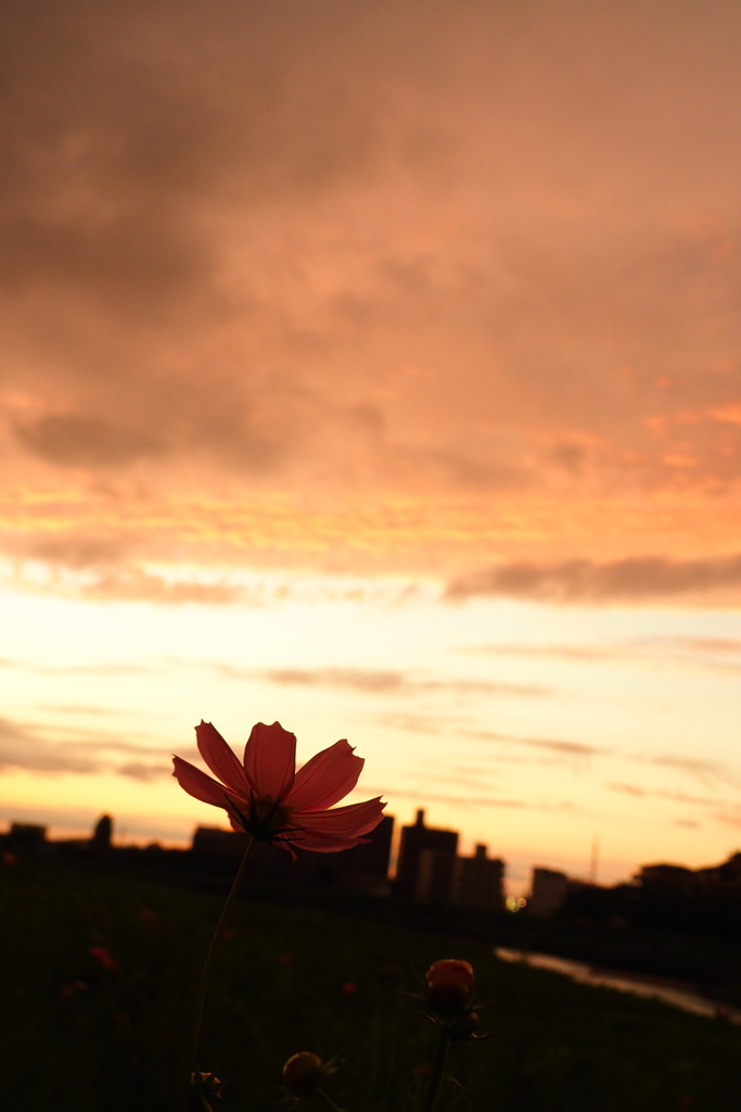 夕空