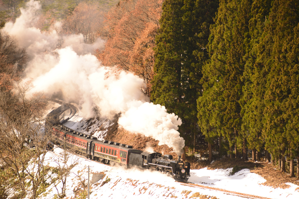 Xmas Train