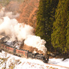Xmas Train