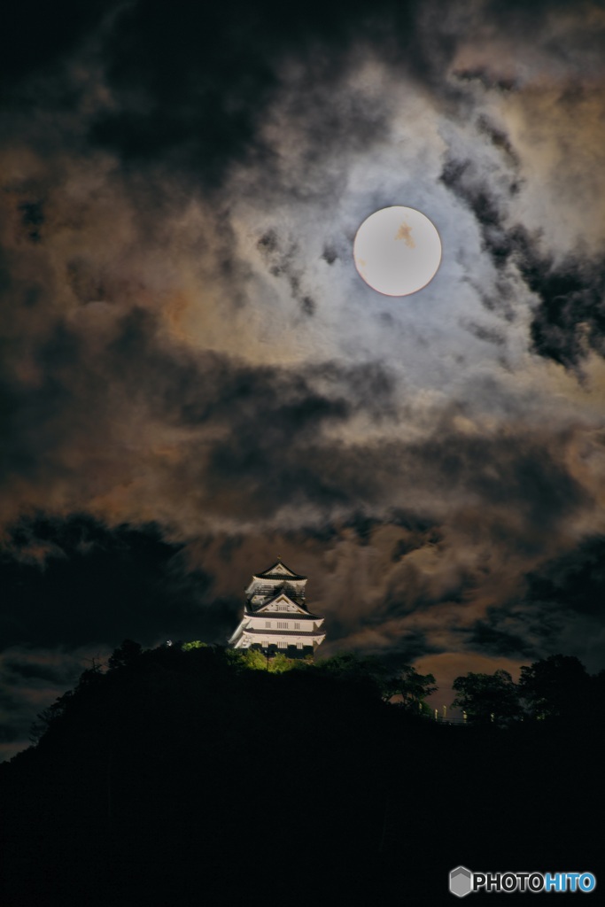 風雲稲葉山城