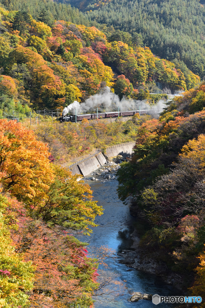 紅葉の諏訪峡