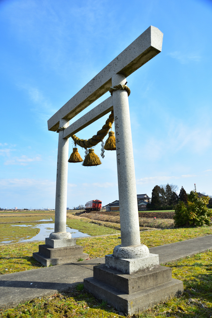 鳥居とタラコ