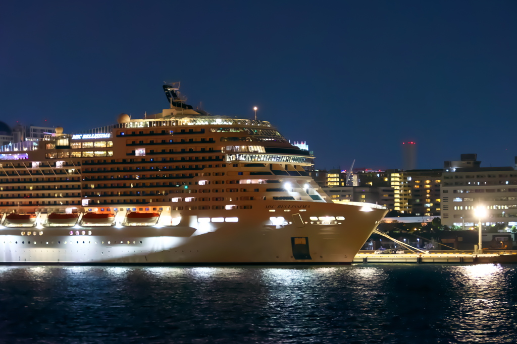 憧れの豪華客船