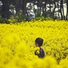 黄色い世界