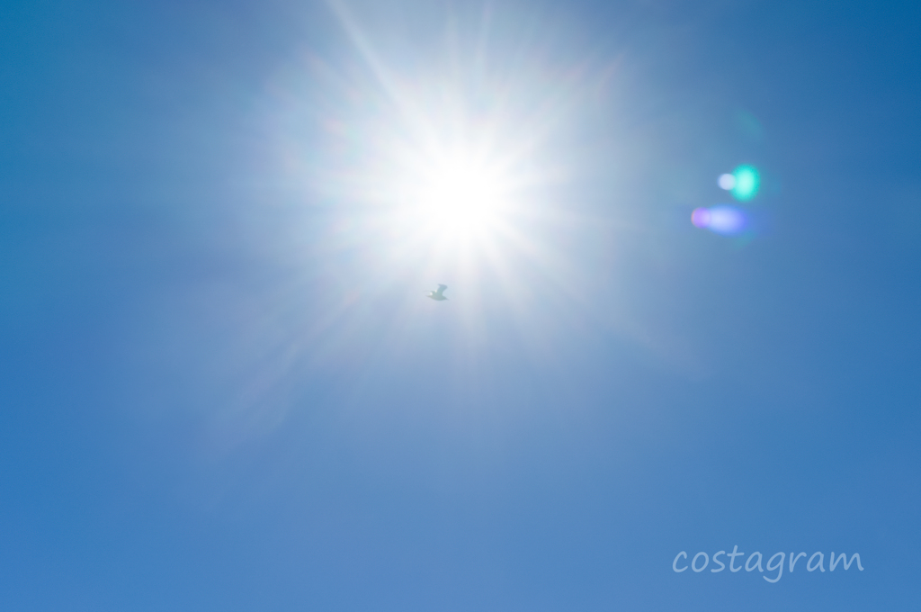 DSC03974-1