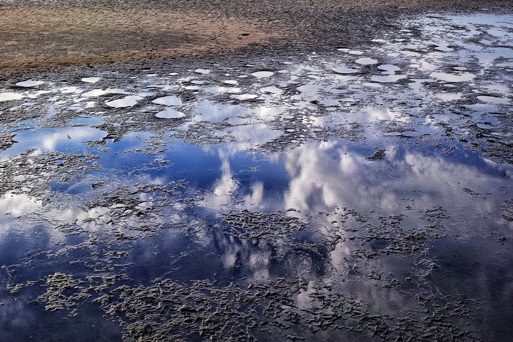 太田川 水鏡