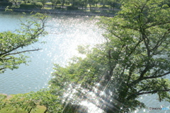 広島城　川