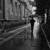 雨