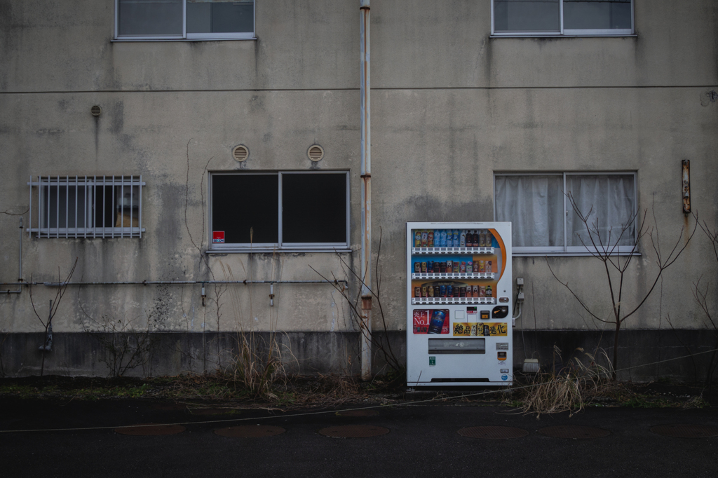 ハッコン