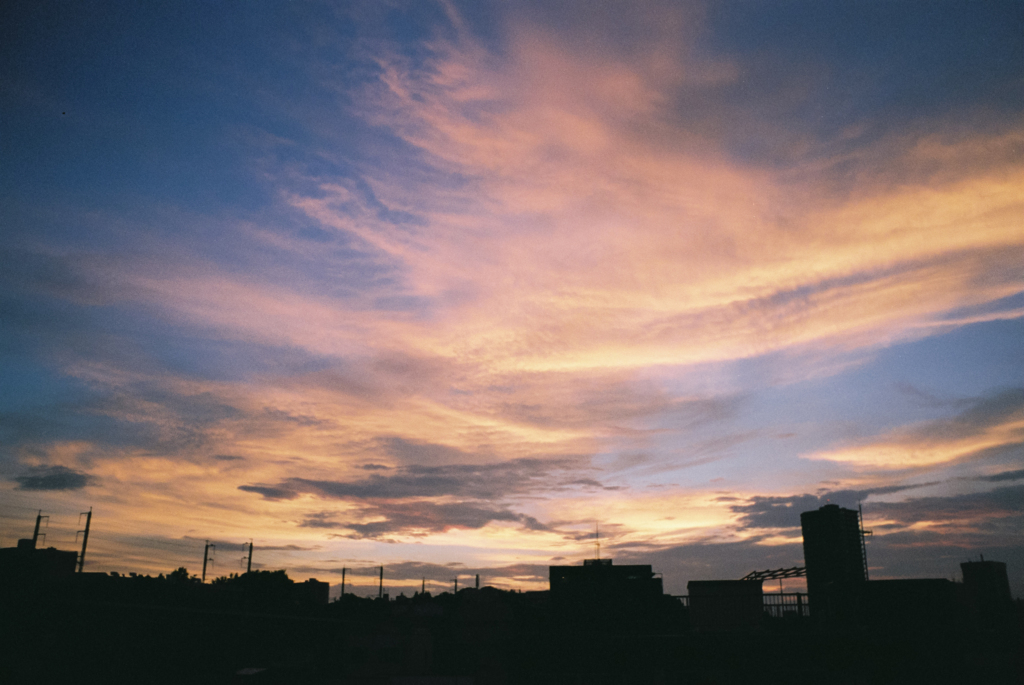 フィルムで夕暮れです(｡ゝω･)ゞ