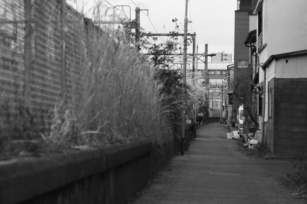 線路脇