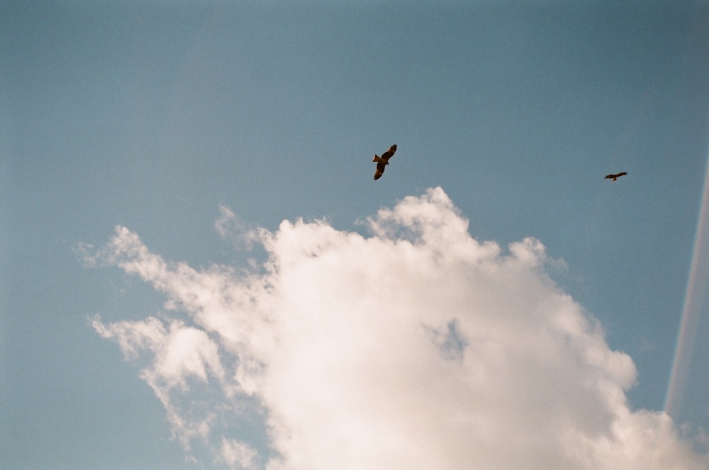 空高く